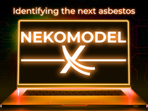 Nekomodel X - Above & Beyond